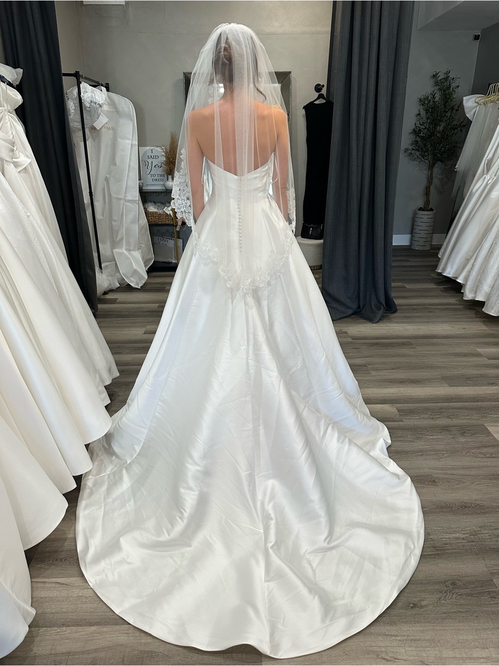 Pronovias Cammi Gown - Picture 5 of 6